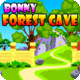 Avm bonny forest cave escape