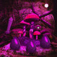 Midnight purple forest secrets escape