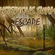 Mysterious swamp escape