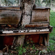 Various abandoned place escape