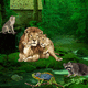 Wild animals forest escape