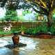 Wow backyard escape