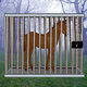 Wow escape the horse from mist forest